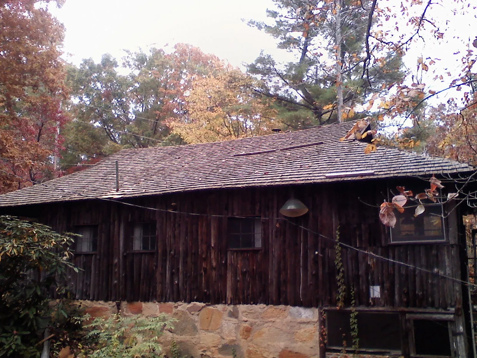 Weathered wood shake roof on a rustic board sided cabin in Pease